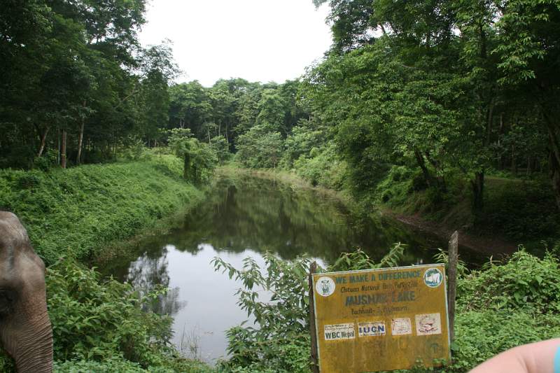 India & Nepal 2011 - 0543